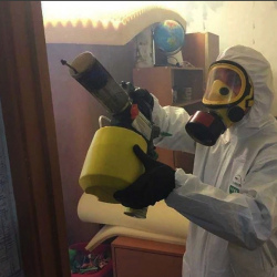 Уничтожение клопов в квартире. Ломоносовская